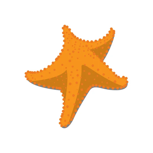 Esquisse isolée d'étoile de mer — Image vectorielle