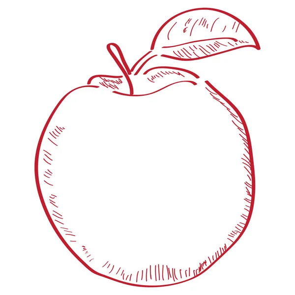 Esquema aislado de manzana — Archivo Imágenes Vectoriales