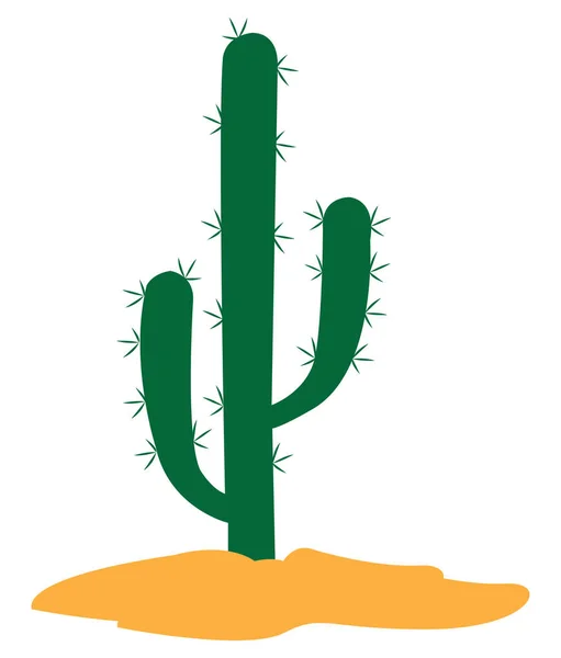 Cactus verde isolato — Vettoriale Stock