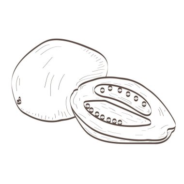 İzole papaya anahat