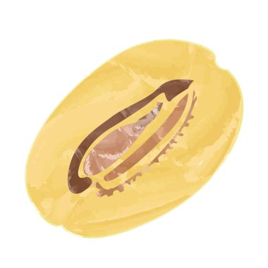 İzole soursop kesme