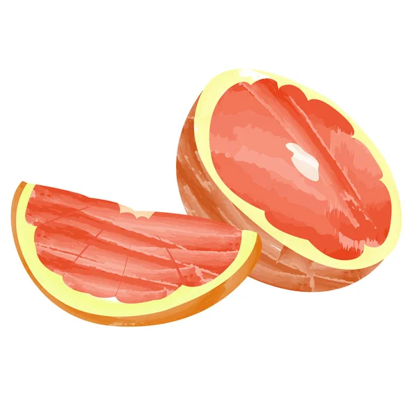 Vereinzelte Grapefruitschnitte — Stockvektor