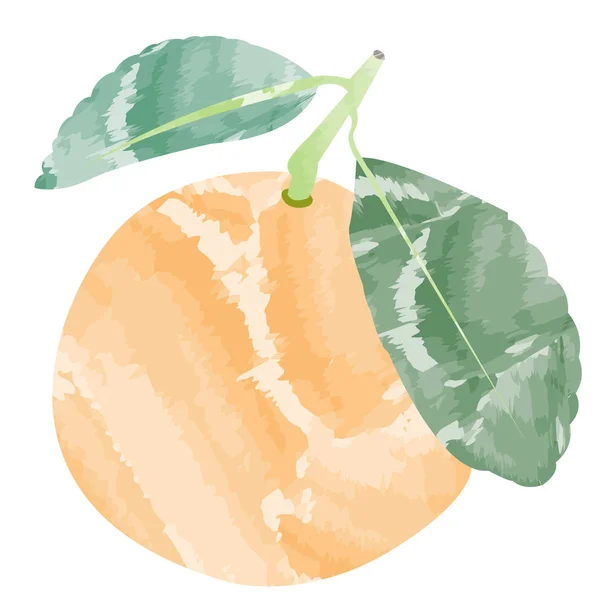 Elszigetelt színes narancs — Stock Vector