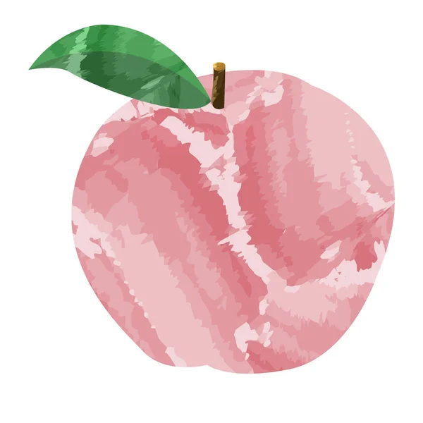 Isoliert gefärbter Apfel — Stockvektor