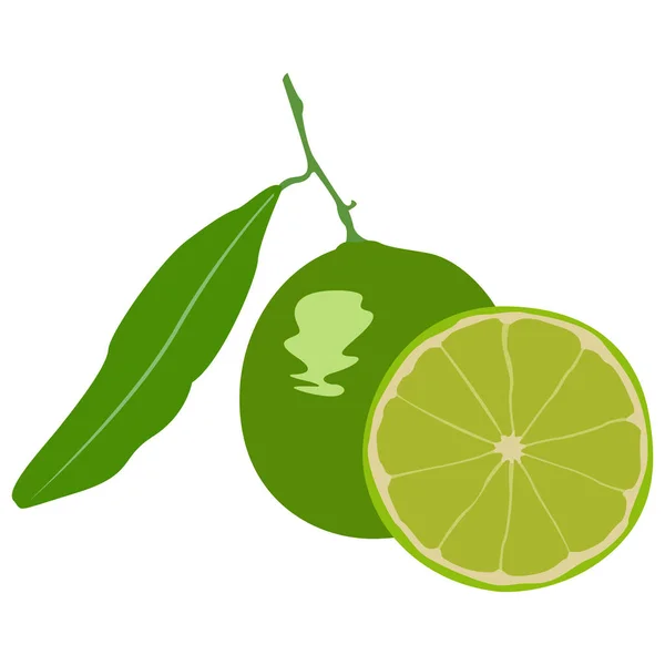 Izolované pár citronů — Stockový vektor