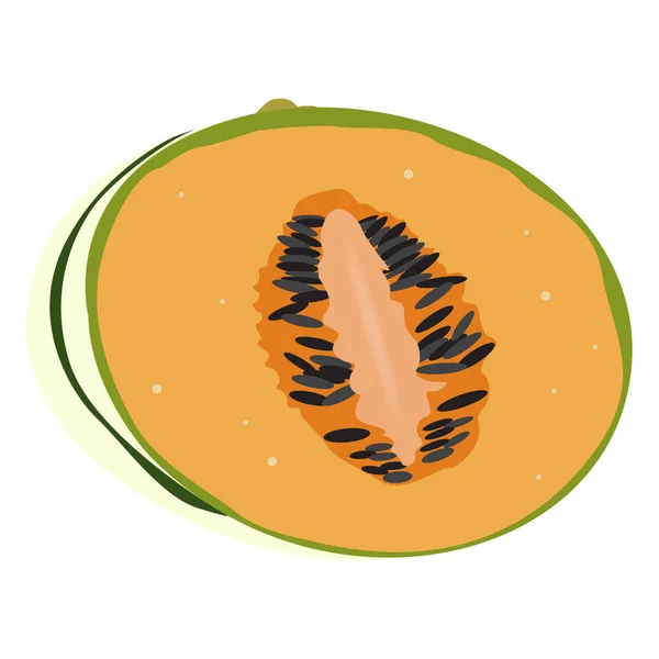 Isolierter Cantaloupe-Schnitt — Stockvektor