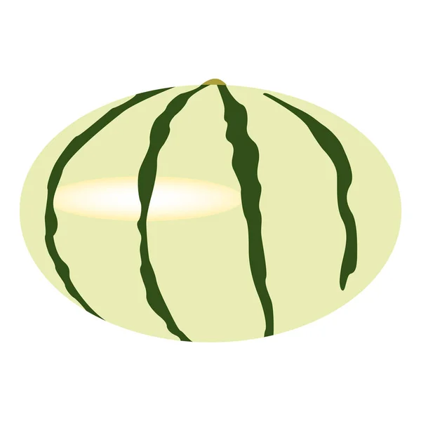 Fruta melón aislada — Vector de stock