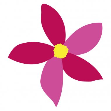 İzole renkli çiçek