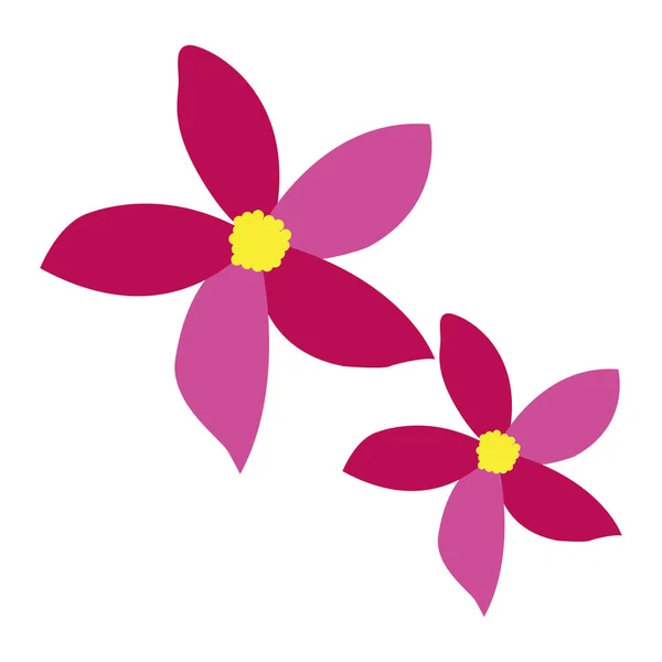 Цветы изолированного цвета — стоковый вектор