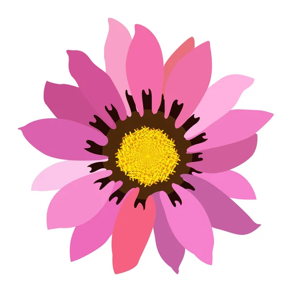 Flor colorida isolada — Vetor de Stock