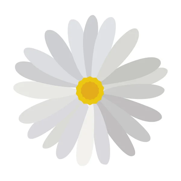 Isolierte farbige Blume — Stockvektor