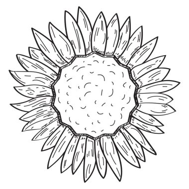 Yalıtılmış bağbozumu çiçek