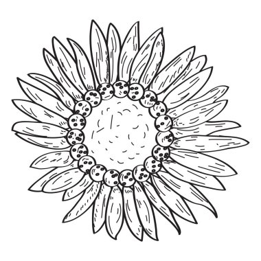 Yalıtılmış bağbozumu çiçek