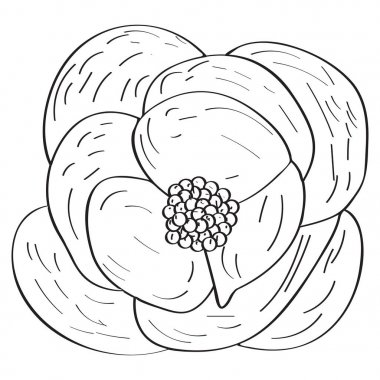 Yalıtılmış bağbozumu çiçek