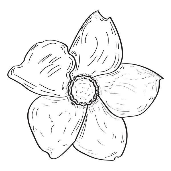 Geïsoleerde vintage bloem — Stockvector