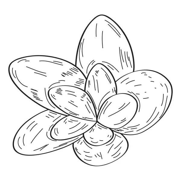 Vereinzelte Jahrgangsblume — Stockvektor