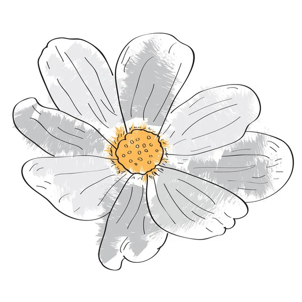 Απομονωμένη vintage λουλούδι — Διανυσματικό Αρχείο