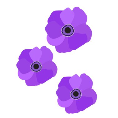 Renkli çiçek grubu