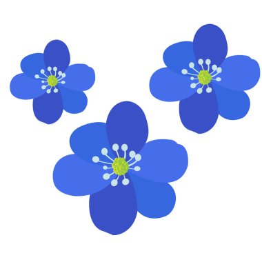 Renkli çiçek grubu