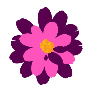 İzole renkli çiçek