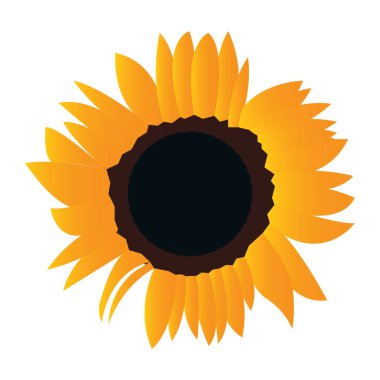 İzole renkli çiçek