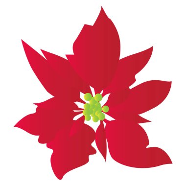 İzole renkli çiçek