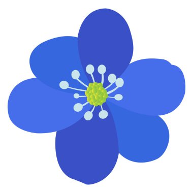 İzole renkli çiçek