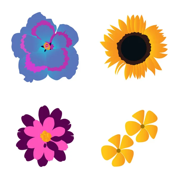 Set of colored flowers — Stock Vector