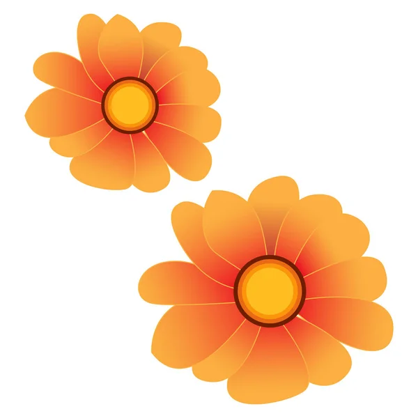 Pair of flowers — Stock Vector