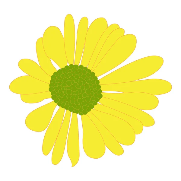 Geïsoleerde gekleurde bloem — Stockvector