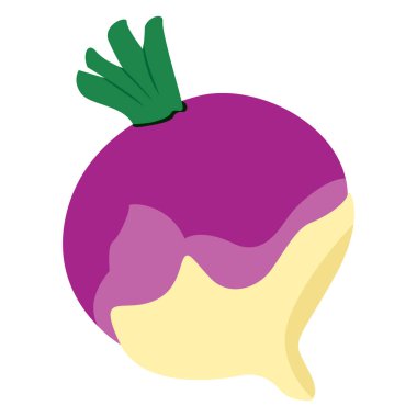 İzole soğan illüstrasyon