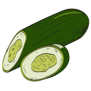 İzole salatalık illüstrasyon