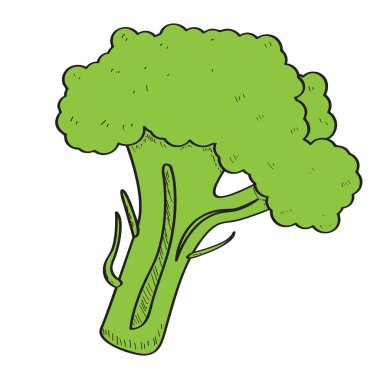 İzole brokoli illüstrasyon