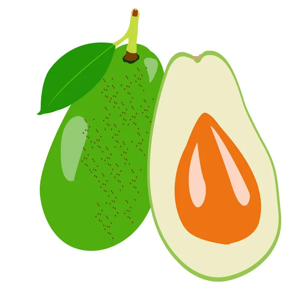 Geïsoleerde paar van avocado 's — Stockvector