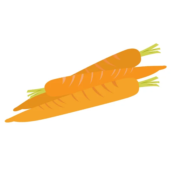 Изолированная группа моркови — стоковый вектор
