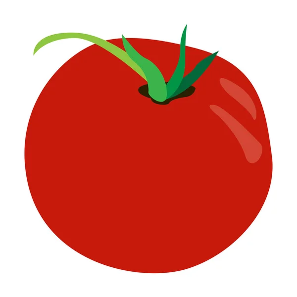 Ilustración aislada de tomate — Vector de stock