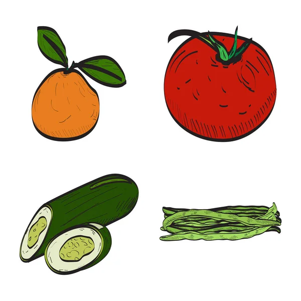 Овощи и фрукты — стоковый вектор