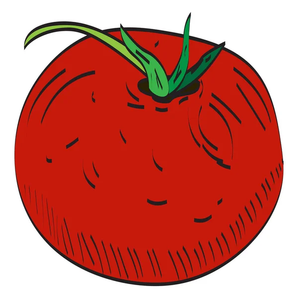 Ilustración aislada de tomate — Vector de stock