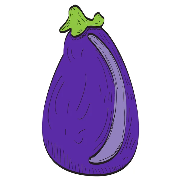 Geïsoleerde aubergine illustratie — Stockvector
