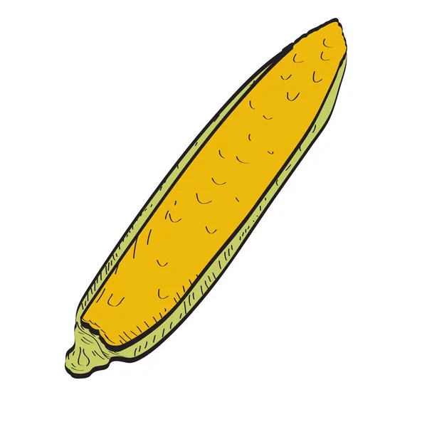 Ilustrasi jagung yang terisolasi - Stok Vektor