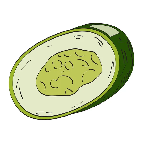 Pepino aislado cortado — Vector de stock