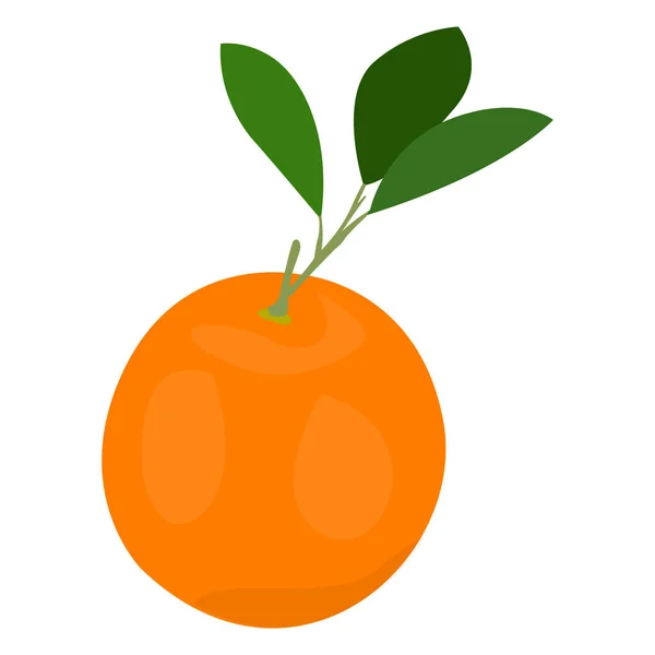 Fruta naranja aislada — Vector de stock