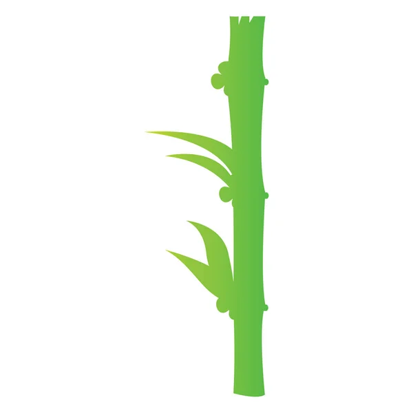 Bastón de bambú aislado — Vector de stock