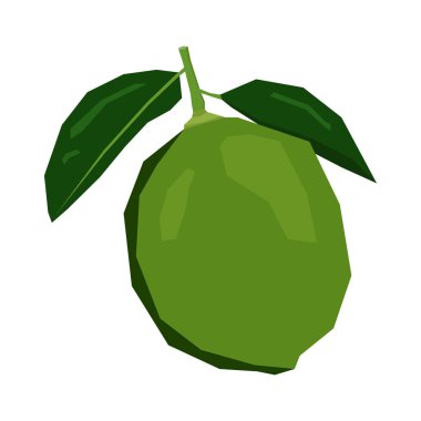 İzole geometrik kireç