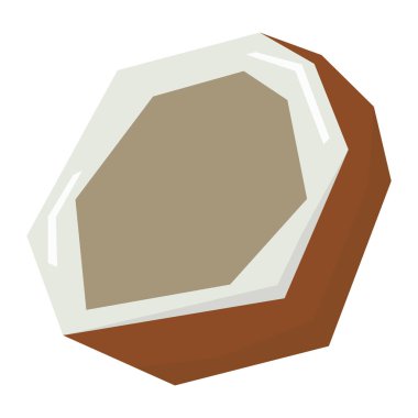 İzole kesilmiş Hindistan cevizi