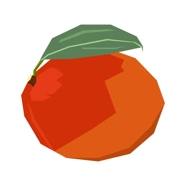 Isolated geometric mango — Stock Vector