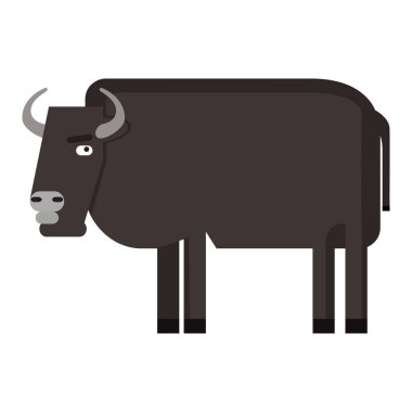 İzole soyut buffalo