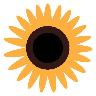 İzole renkli çiçek