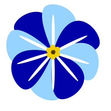 İzole renkli çiçek