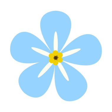 İzole renkli çiçek